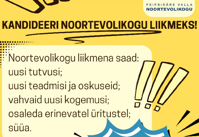 Kandideeri noortevolikogu liikmeks.png