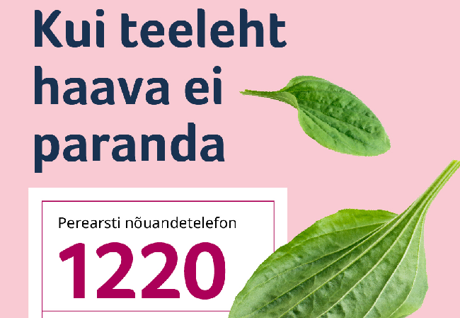Suvitades saab tervisenõu perearsti nõuandetelefonilt 1220.png