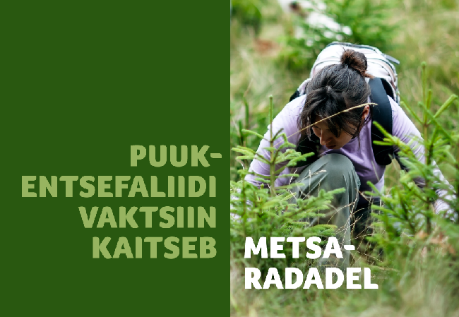 Terviseamet hoiatab Puukentsefaliidi juhud Eestis sagenevad.png