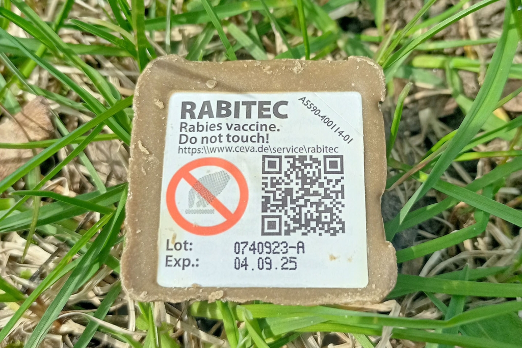 marutaudivastane vaktsineerimine.jpg