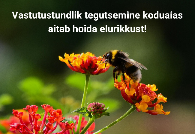 taimekaitsevahendite kasutamine koduaias.png
