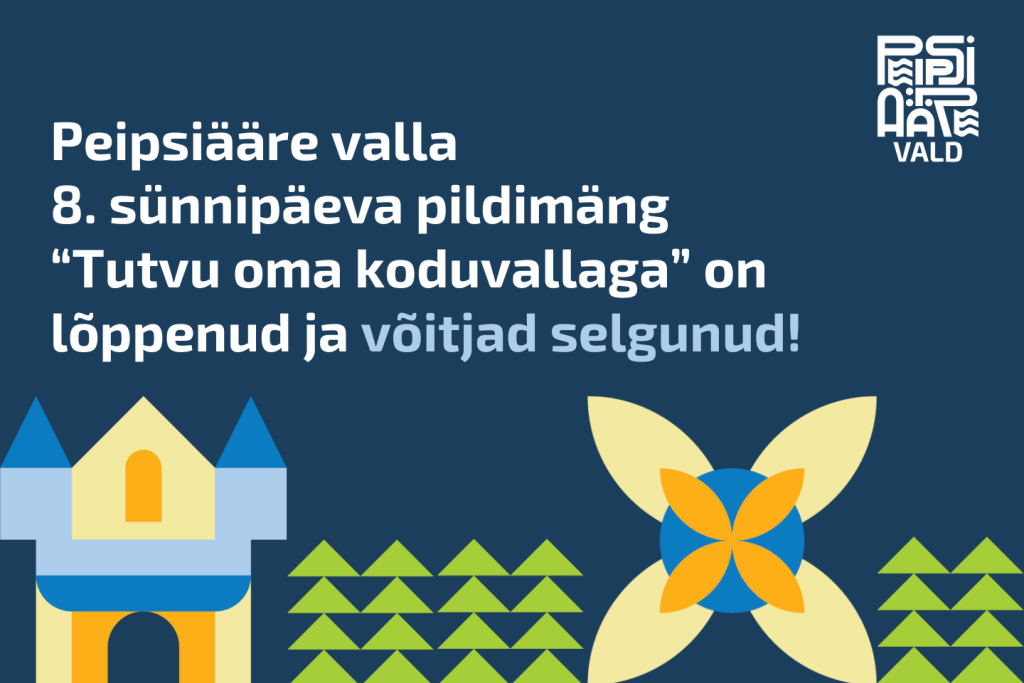 sünnipäevamäng11.png