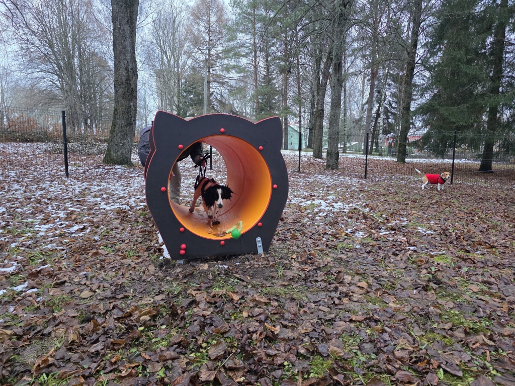 Kallaste koerteväljaku avamine.jpg