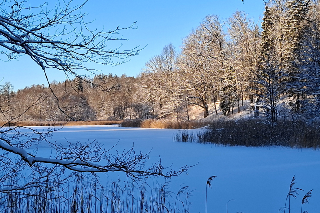 Alatskivi veskijärv-Taivo Tali.png