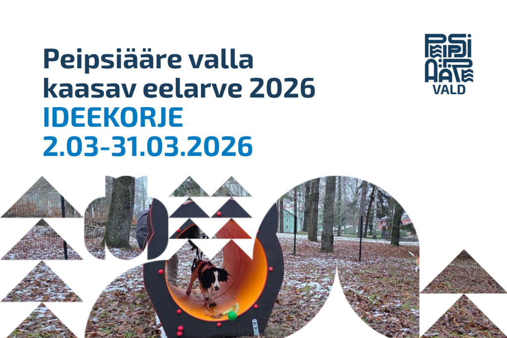 Kaasav eelarve 1440 x 960 px.png