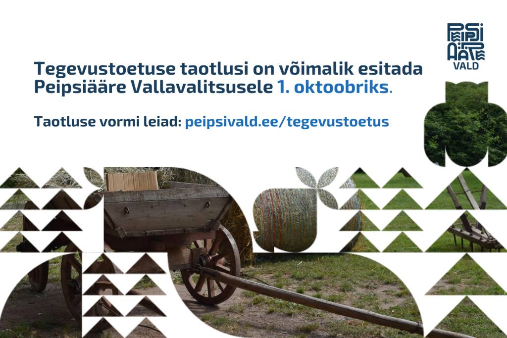 tegevustoetus (1440 x 960 px).png